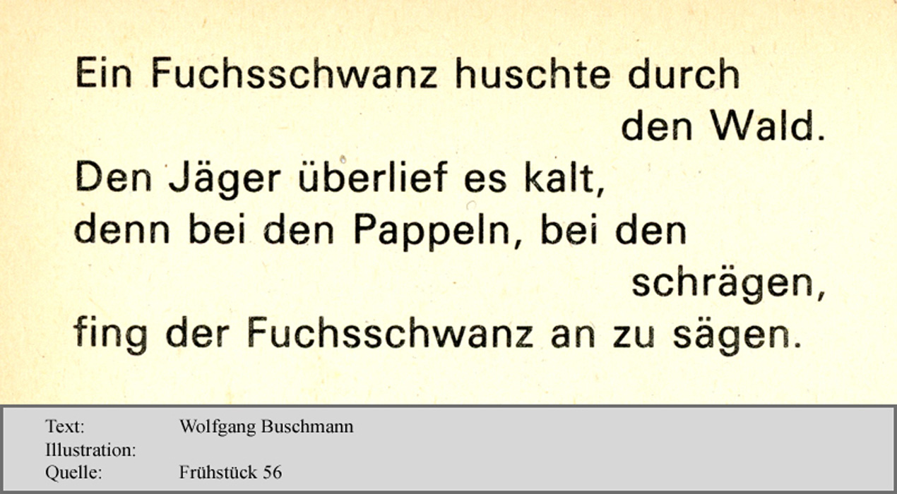 buschmann_11_ein_fuchschwanz