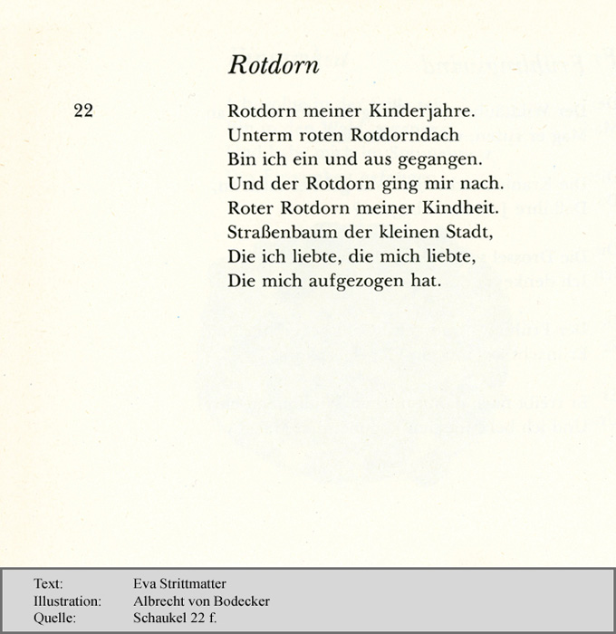 strittmatter_eva_5_rotdorn_1-2
